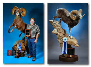 Awards Images